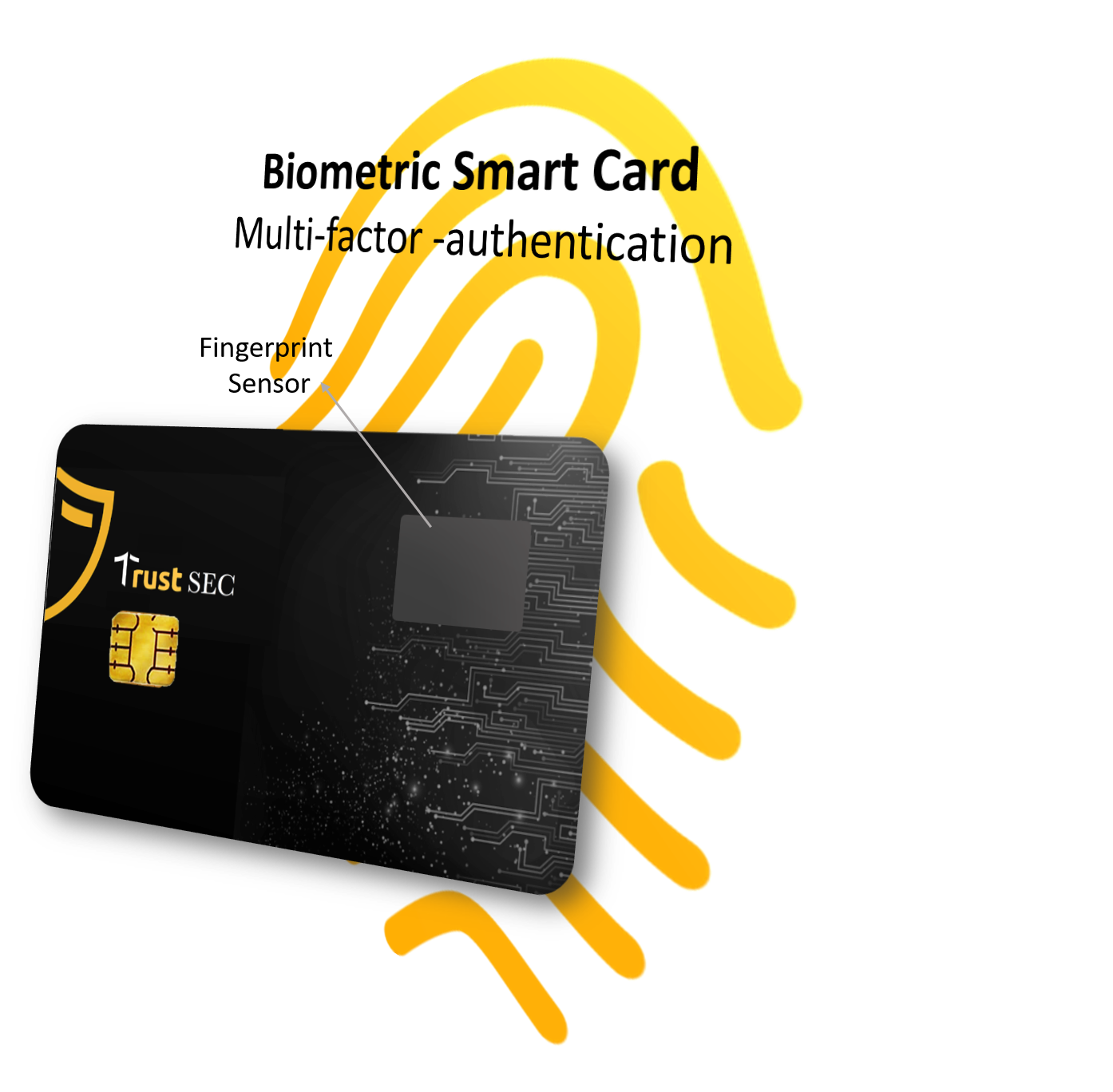 biometric-smart-card-